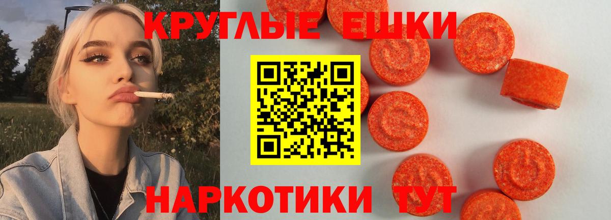 Новозыбков  Экстази  Вход с VPN  Экстази Punisher  Ecstasy TESLA 