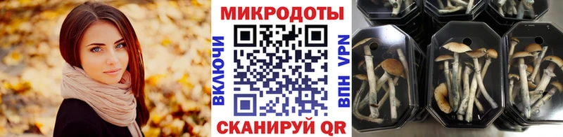 Псилоцибиновые грибы MAGIC MUSHROOMS  Новозыбков 