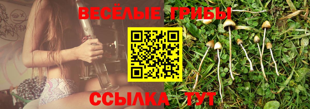 Галлюциногенные грибы ЛСД Новозыбков