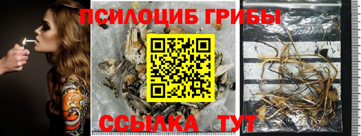 Галлюциногенные грибы мицелий  Псилоцибиновые грибы GOLDEN TEACHER  Новозыбков  Вход с VPN 