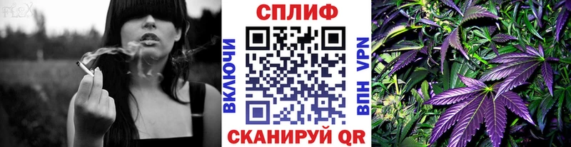 Каннабис ГИДРОПОН  Новозыбков 