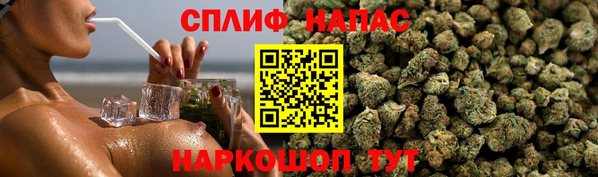 Каннабис план Новозыбков